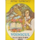 Voinicul cel cu cartea in mina nascut