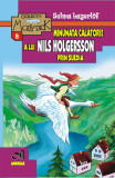 Minunata calatorie a lui Nils Holgersson in Suedia | Selma Legerlof, Andreas
