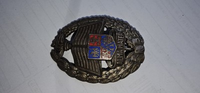 INSIGNA ALMA MATER ACADEMIA MILITARA , MODELUL VECHI ! foto