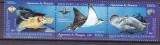 Noua Caledonie 2004 fauna marina MI 1324-1326 MNH
