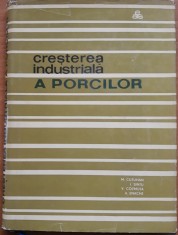 CRESTEREA INDUSTRIALA A PORCILOR - MIHAI CUTUHAN