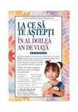 Cumpara ieftin La Ce Sa Te Astepti In Al Doilea An De Viata
