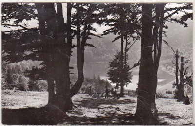 bnk cp Tusnad - Lacul Sf Ana - circulata foto
