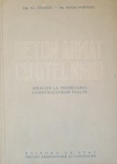 BETON ARMAT CU OTEL RIGID - AL. CISMIGIU, MIHAI POPOVICI foto