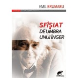 Sf&icirc;siat de umbra unui inger - Emil Brumaru