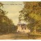 bnk cp Buzau - Bufetul din Crang - circulata 1927