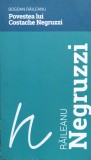 Povestea Lui Costache Negruzzi - Bogdan Raileanu, Editura Muzeelor Literare, Romana, Roman, Beletristica