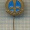 Y 1282 INSIGNA - MOT KREFT -RECUPERARE MEDICALA ? -PENTRU COLECTIONARI