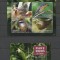 PALAU 2016 FAUNA PASARI