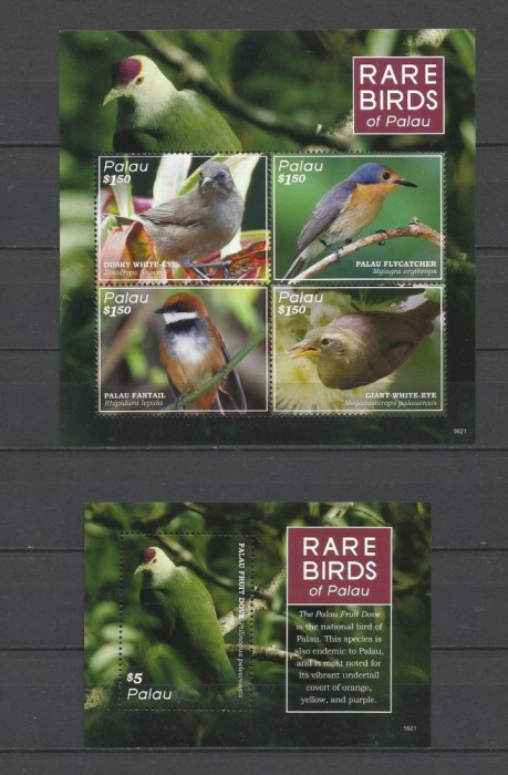 PALAU 2016 FAUNA PASARI