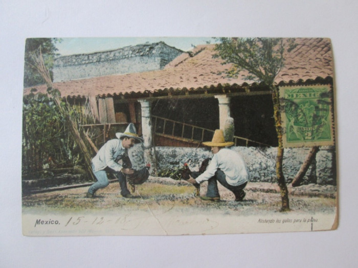 Mexic-Lupte de cocoși,carte postala circulata 1908