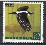 POLONIA 1999 EUROPA CEPT