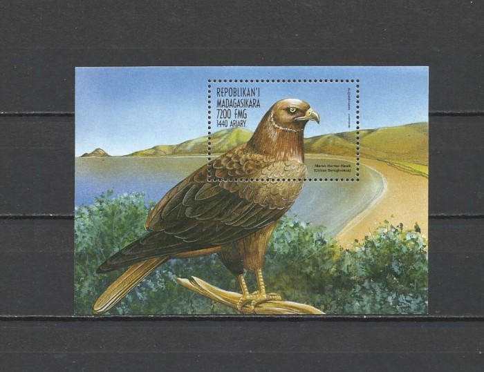 MADAGASCAR 1999 FAUNA PASARI DE PRADA