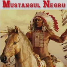 Mustangul negru (Corcitura) - Karl May