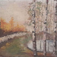 tablou Peisaj cu mesteceni, ulei pe carton 30x52 cm L. Patrascu 88