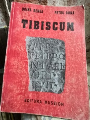 Tibiscum - Doina Benea, Petru Bona foto