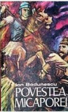 Povestea Micaporei Ion Bodunescu, 1979, Militara