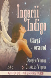 Ingerii indigo Ghid de interpretare (lipsa set carti)