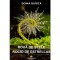 Doina Gurita - Ruoua de stele/ Rocio de estrellas - 135567