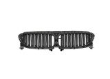 Grila radiator BMW Seria 5 (G30/G31), 05.2017-, fata, cromat; intern