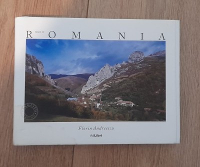 Made in Romania - Florin Andreescu foto
