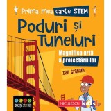 Prima mea carte STEM: PODURI SI TUNELURI. Magnifica arta a proiectarii lor, Ian Graham, Niculescu