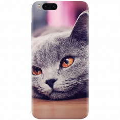 Husa silicon pentru Xiaomi Mi 6, British Shorthair Cat Yellow Eyes Portrait