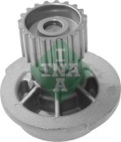 INA 538 0066 10 Pompă de apă, răcire motor