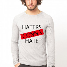 Bluza gri, barbati, Haters - XL