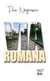Via Romana &ndash; Dan Negrescu