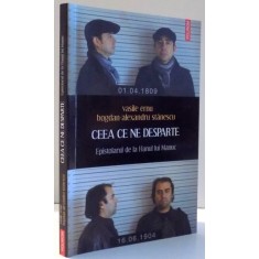 CEEA CE NE DESPARTE , EPISTOLARUL DE LA HANUL LUI MANUC de VASILE ERNU , BOGDAN ALEXANDRU STANESCU , 2010