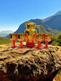 Set carafă cu pahare roșii model trandafir
