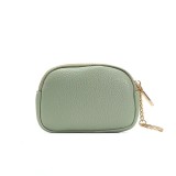 Port chei, Ametis PT1420, Verde