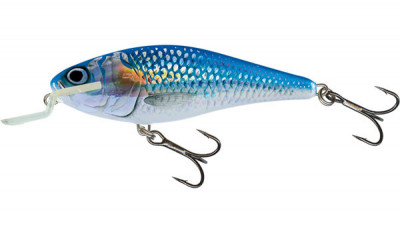 Salmo Wobler Executor Shallow Runner 7cm Holo Shiner foto