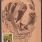 CM Romania 1988 - Caini - SAINT-BERNARD