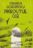 Pierdutul Cer - Mihaica Gorunescu