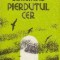 Pierdutul Cer - Mihaica Gorunescu