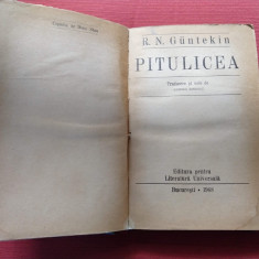 Pitulicea - Resat Nuri Guntekin