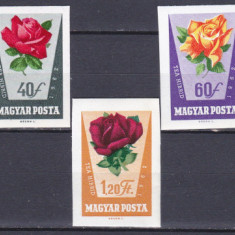 DB1 Flora Flori Trandafiri Ungaria 1962 7 v. MNH NDT