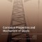 Corrosion Properties and Mechanism of Steels
