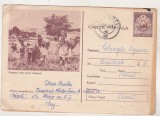 bnk cp Pionierele culeg plante medicinale - circulata 1958 - marca fixa