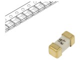 Siguranță &Icirc;nt&acirc;rziere SMD 1A 125V