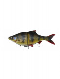 Shad Savage Gear 4D Line Thru Roach, SS Perch, 18cm, 80g