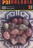 Revista Psihologia, numarul 2, 1998, 51 pagini, dimensiune 16x24 cm, limba romana, stare buna, coperti brosate