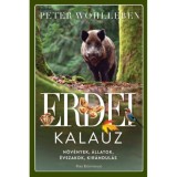 Erdei kalauz - N&ouml;v&eacute;nyek, &aacute;llatok, &eacute;vszakok, kir&aacute;ndul&aacute;s - Peter Wohlleben
