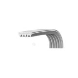 Curea transmisie pentru mașină de spălat rufe BOMPANI M6542007204 Original
