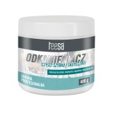 Detartrant Teesa 400g