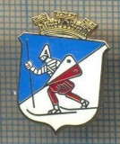 Y 483 INSIGNA -UN CAVALER MEDIEVAL PE SCHIURI -EMBLEMA -PENTRU COLECTIONARI