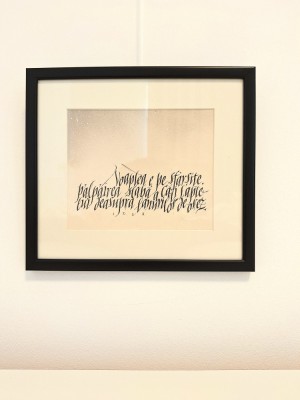 Bogdan Tanase Marinescu - Miniatura caligrafica, Haiku Izen, colectie,2024 foto
