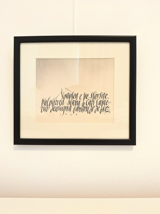Bogdan Tanase Marinescu - Miniatura caligrafica, Haiku Izen, colectie,2024